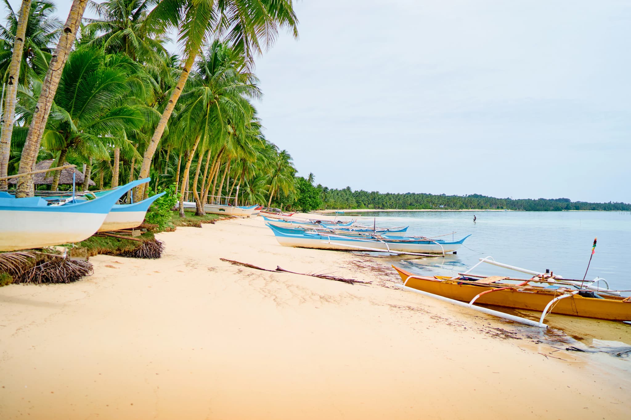 A palm-lined beach with traditional outrigger boats moored in shallow water, white sand, and calm tropical lagoon.