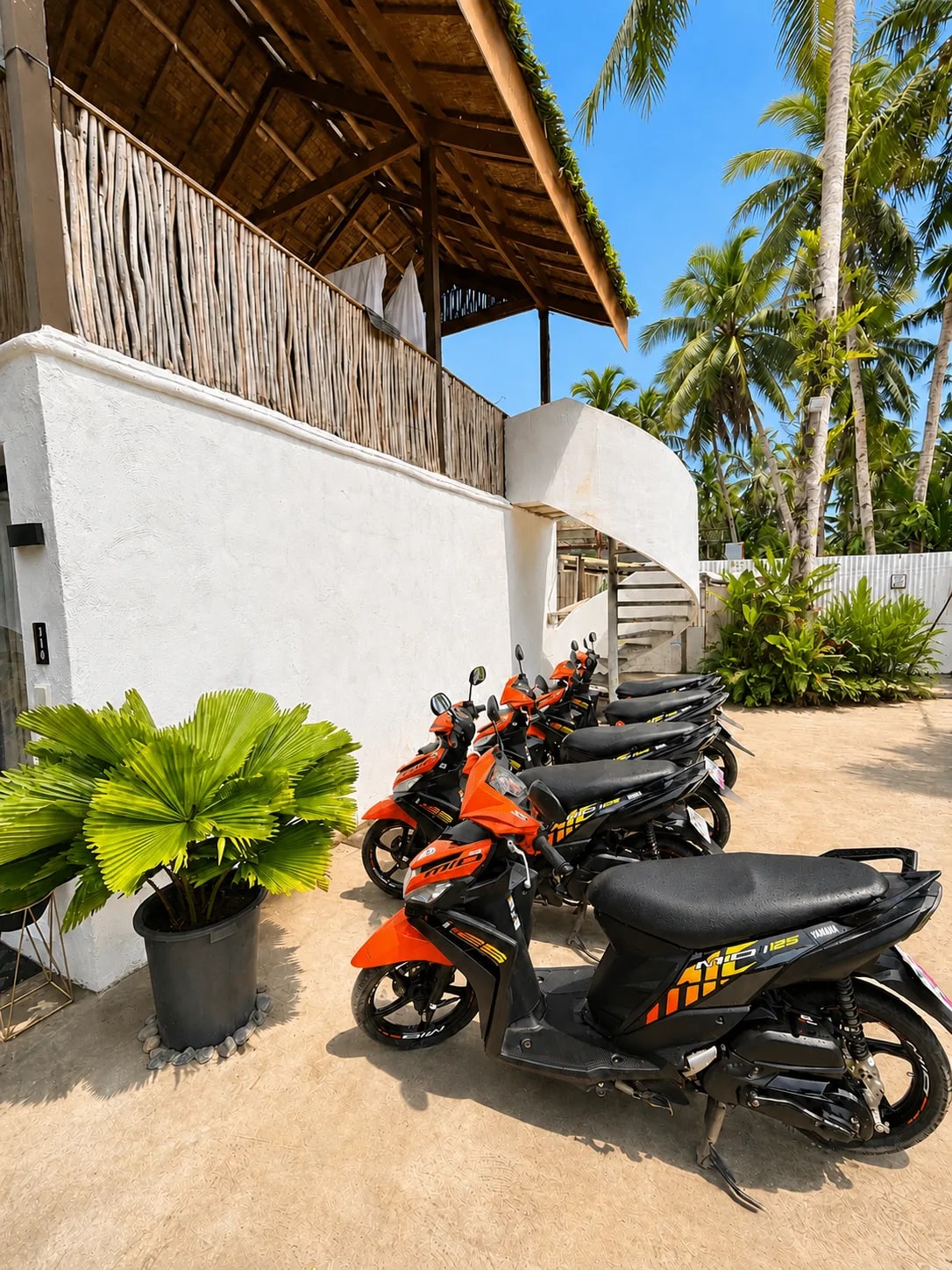 Motorbike Rental